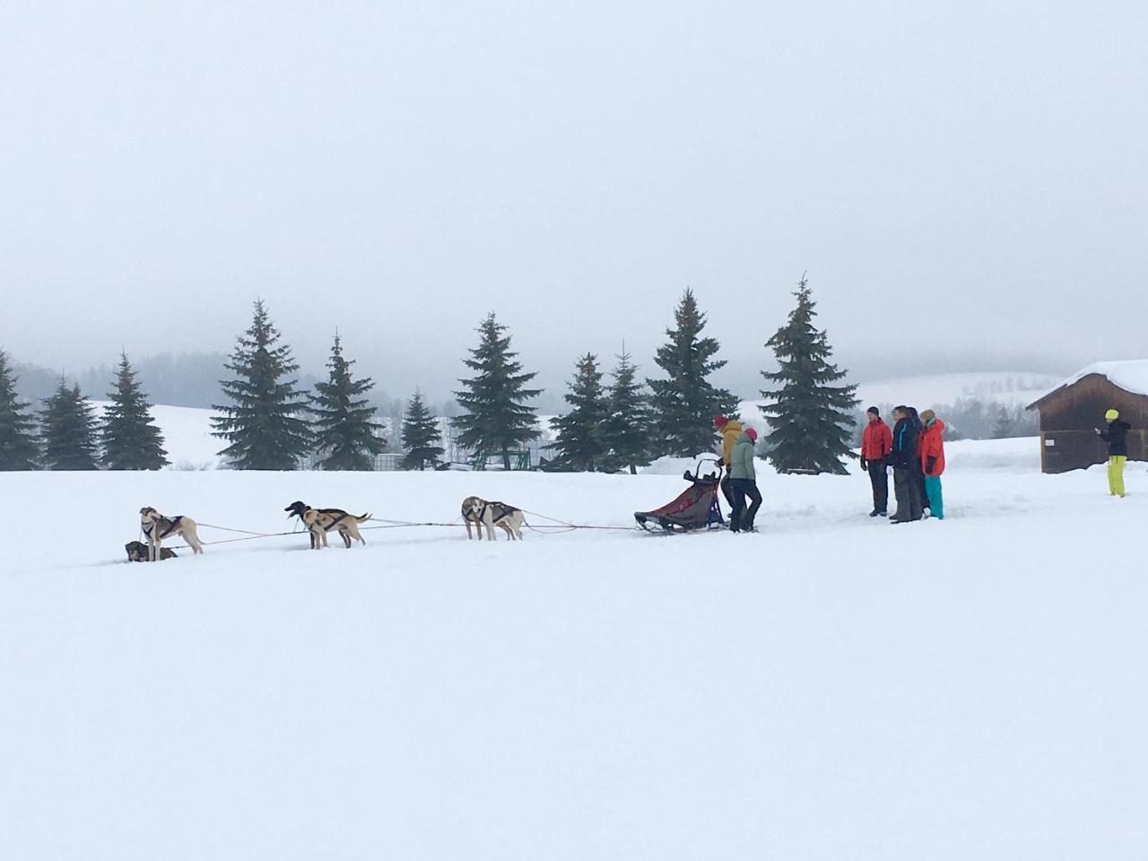 Grund Resort Golf And Ski Mladé Buky Eksteriør bilde
